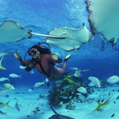 Glass bottom boat trip in Hurghada, Red Sea