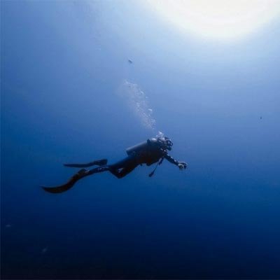 Dolphin trip in the Red Sea, Hurghada
