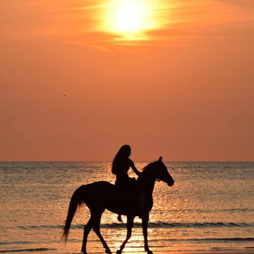 A woman riding a horse on the beach at sunset