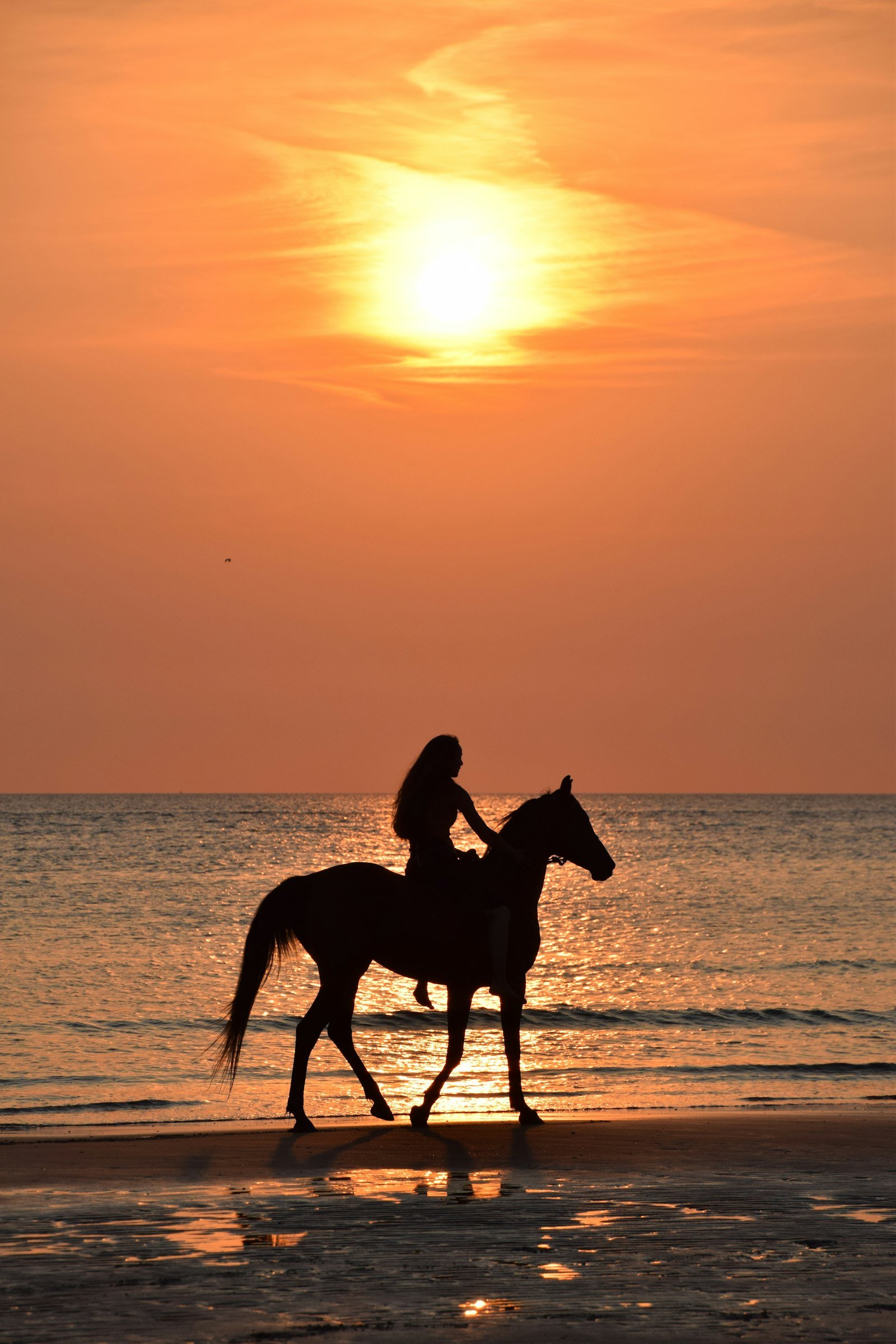 A woman riding a horse on the beach at sunset