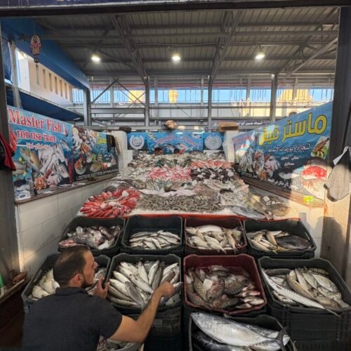 Hurghada City Tour: El Mina Mosque, Coptic Church, Fish Market & Marina