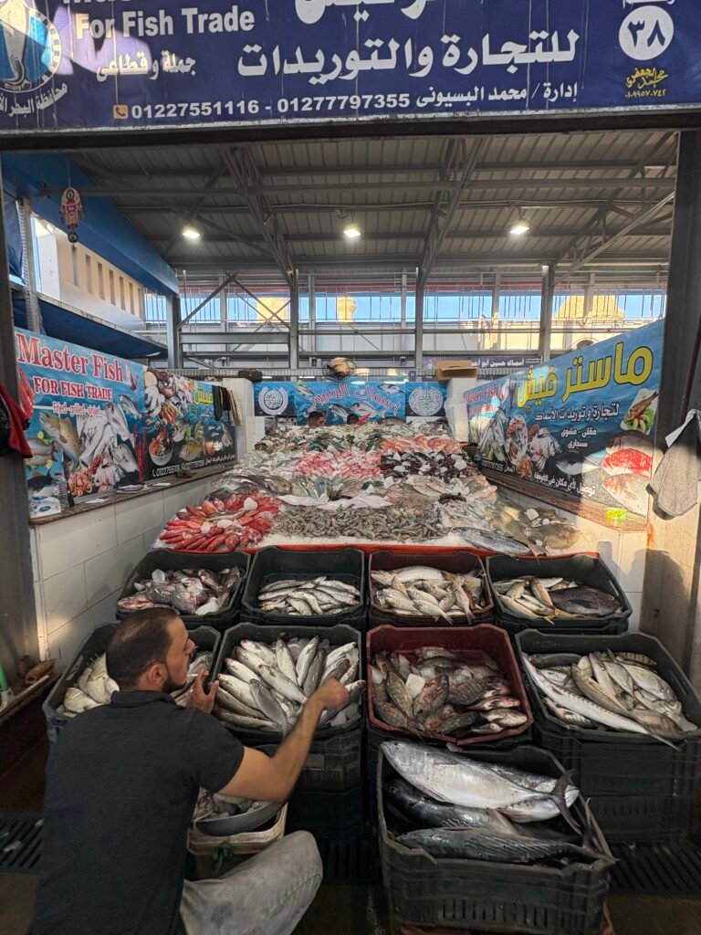 Hurghada City Tour: El Mina Mosque, Coptic Church, Fish Market & Marina