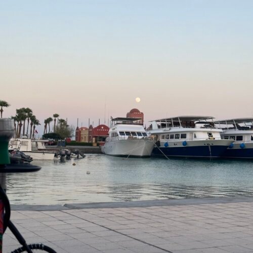 Hurghada City Tour: El Mina Mosque, Coptic Church, Fish Market & Marina – photo 3