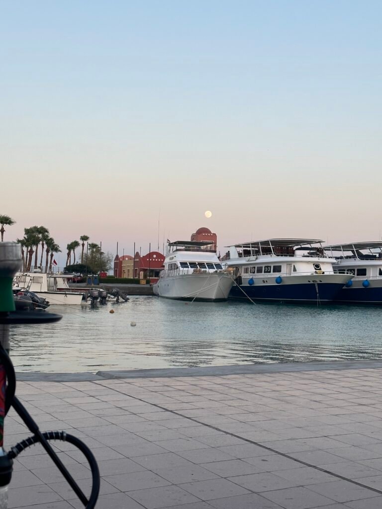 Hurghada City Tour: El Mina Mosque, Coptic Church, Fish Market & Marina – photo 3