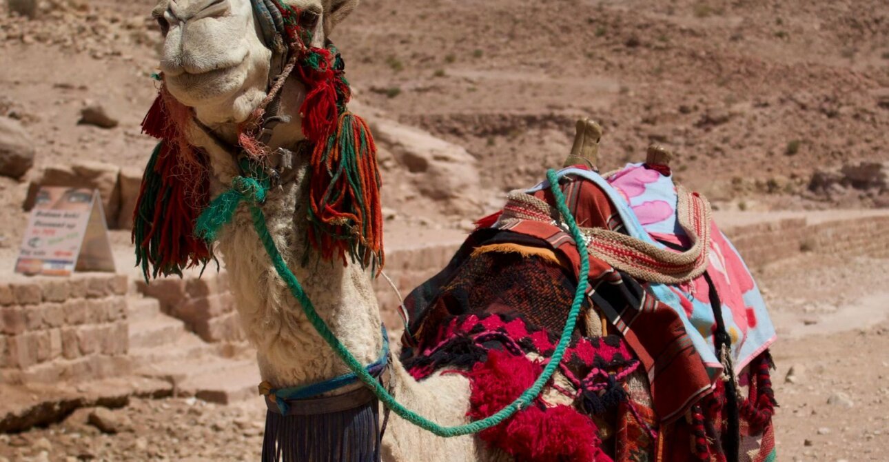 Desert Safari Hurghada 2026: Quad, Buggy & Jeep Trips, Prices & Tips