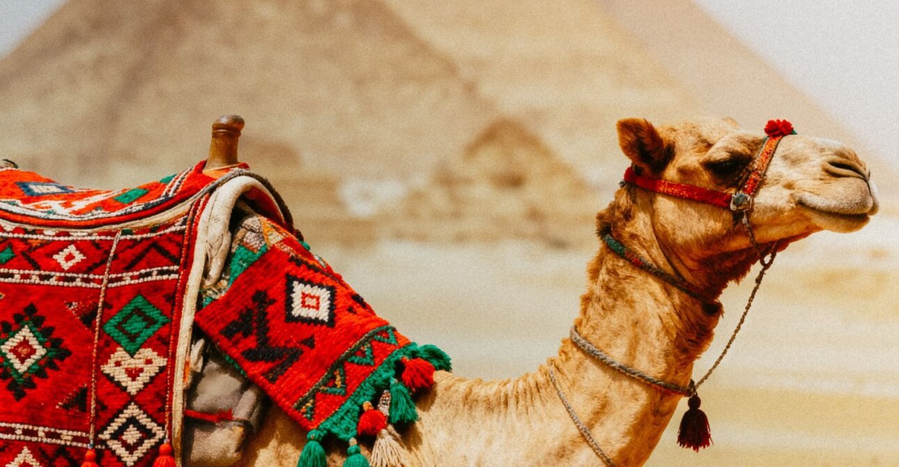 Cairo & Pyramids Day Trip from Hurghada 2026: Options, Prices & Itinerary
