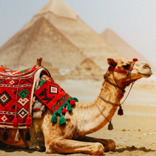 Pyramids of Giza Egypt tour