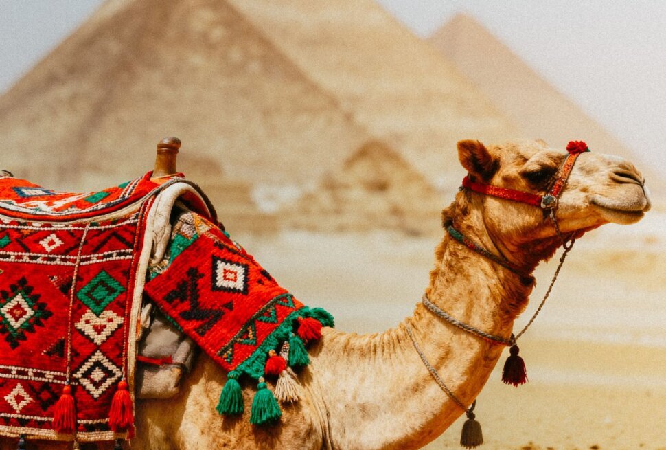 Pyramids of Giza Egypt tour