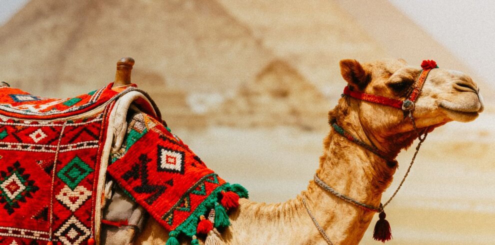 Pyramids of Giza Egypt tour