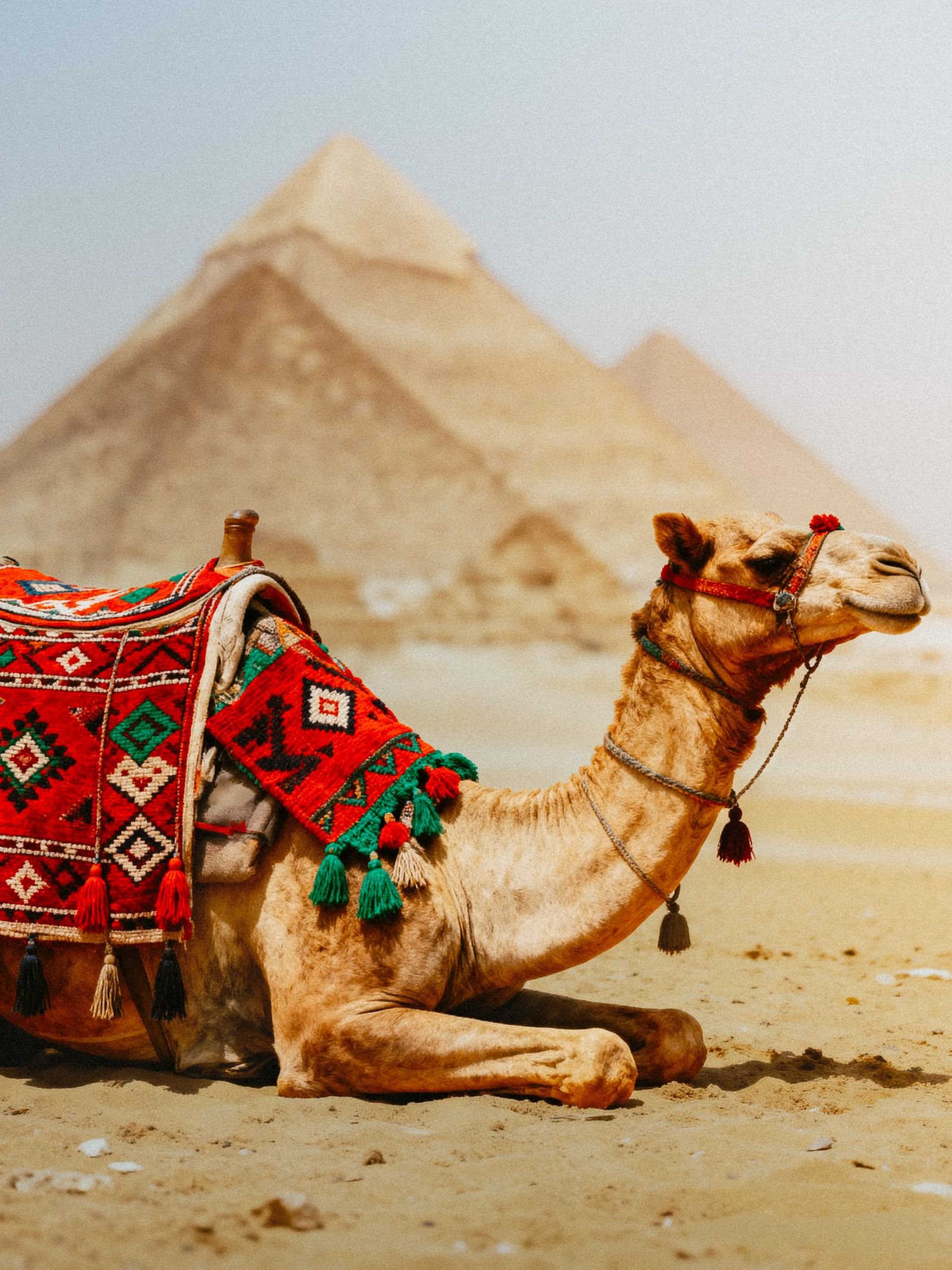Pyramids of Giza Egypt tour