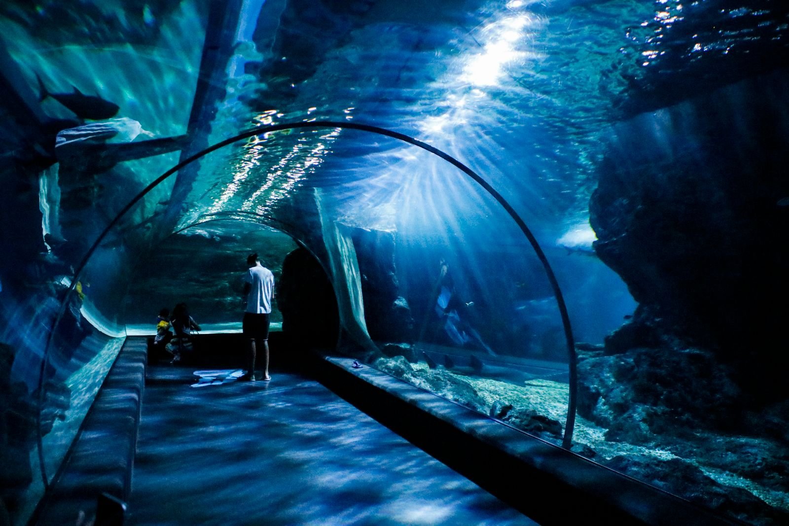 Visitor inside an aquarium tunnel