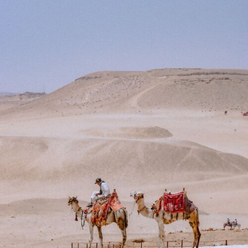 Camel ride in the desert Hurghada