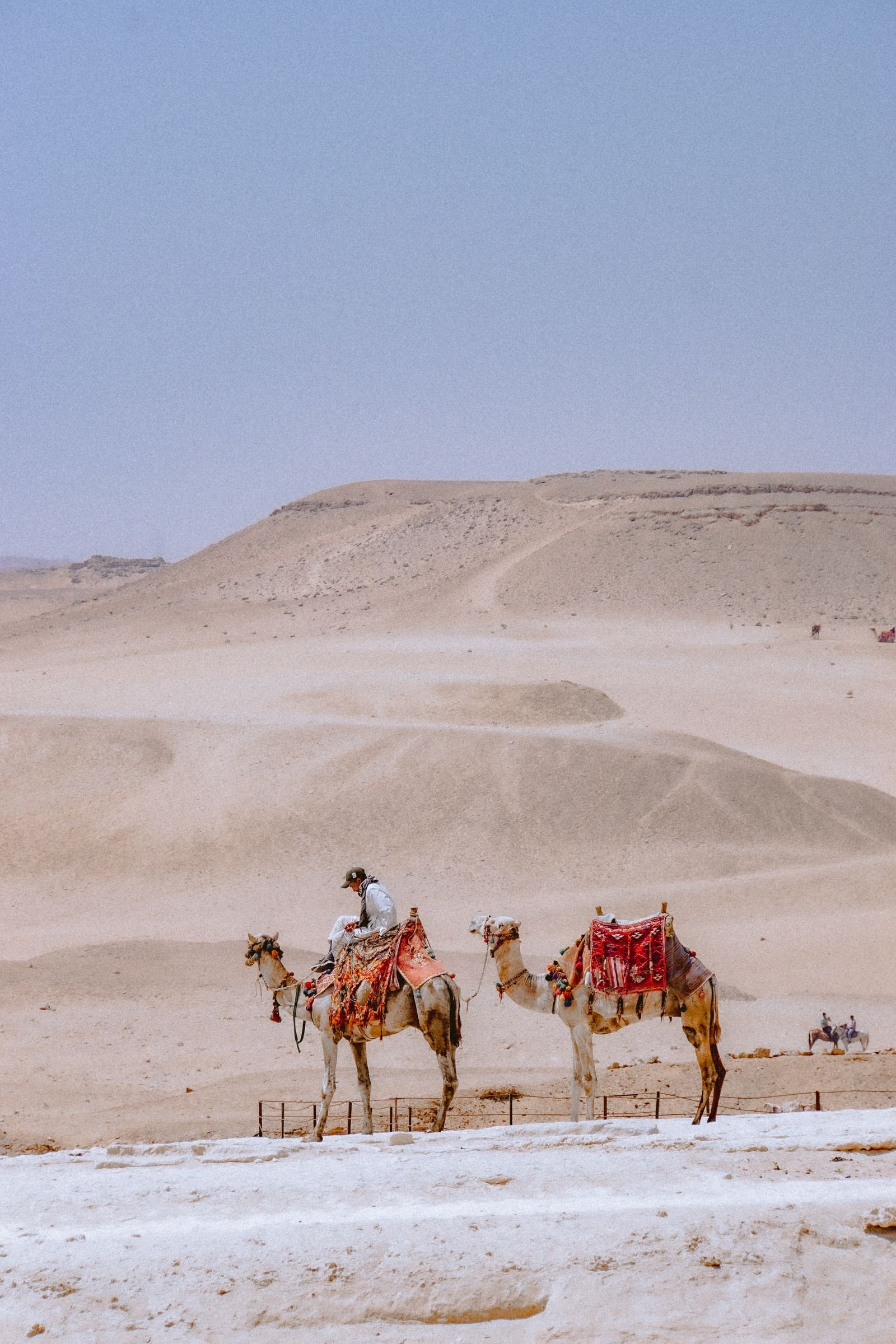 Camel ride in the desert Hurghada