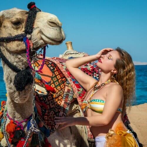 Sunset Desert Safari: Quad, Camel & Horse Ride, Dinner, Show & Stargazing