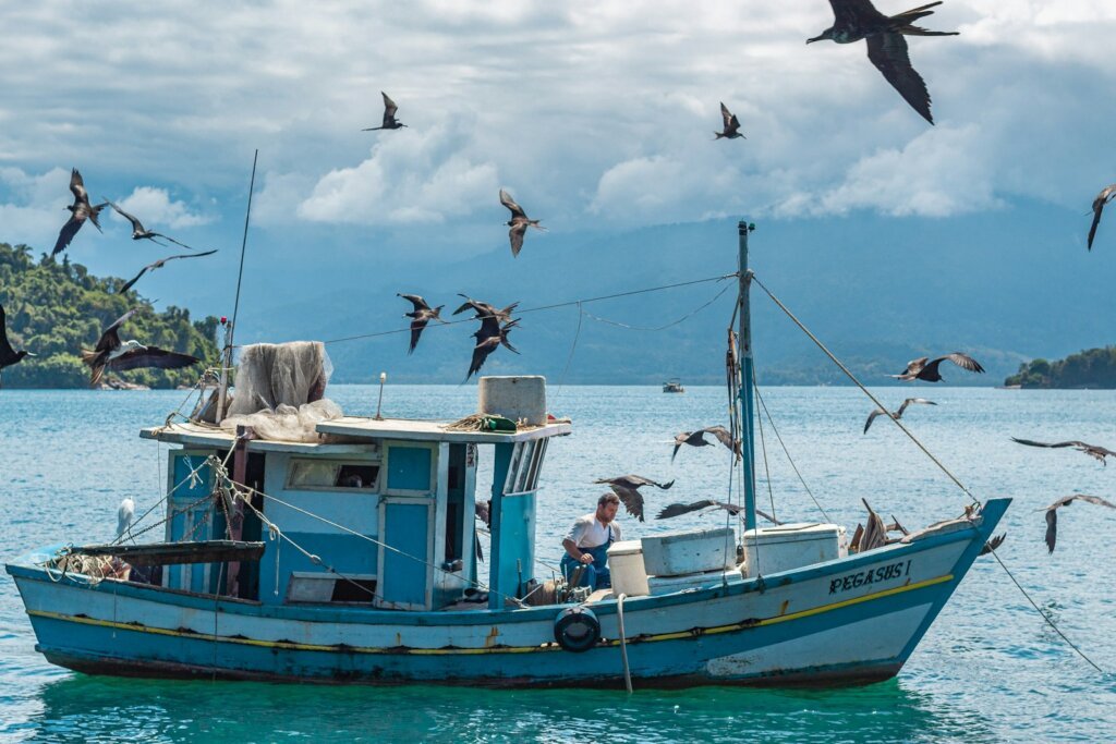 A fishing boat at sea with seagulls flying around it