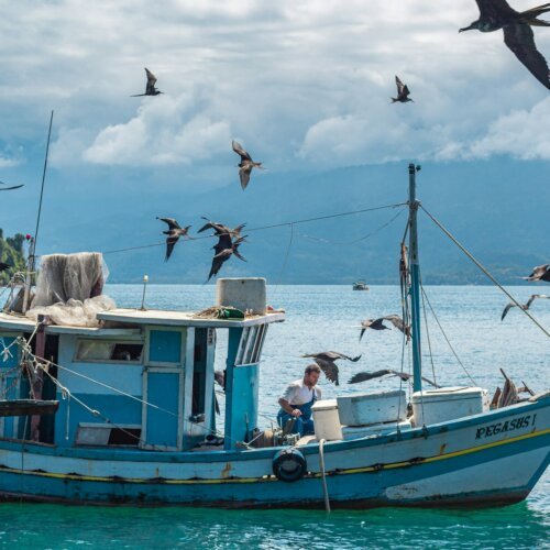 A fishing boat at sea with seagulls flying around it
