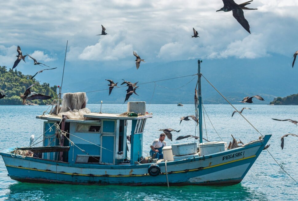 A fishing boat at sea with seagulls flying around it