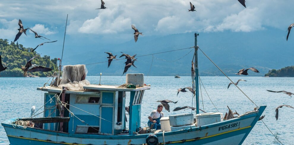 A fishing boat at sea with seagulls flying around it