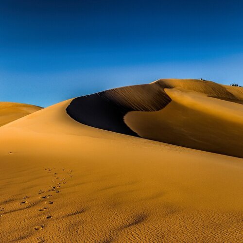 Siwa Oasis 2 Days / 1 Night – photo 3